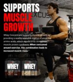 ProSupps Whey Protein 4lbs, Chocolate - Image 4